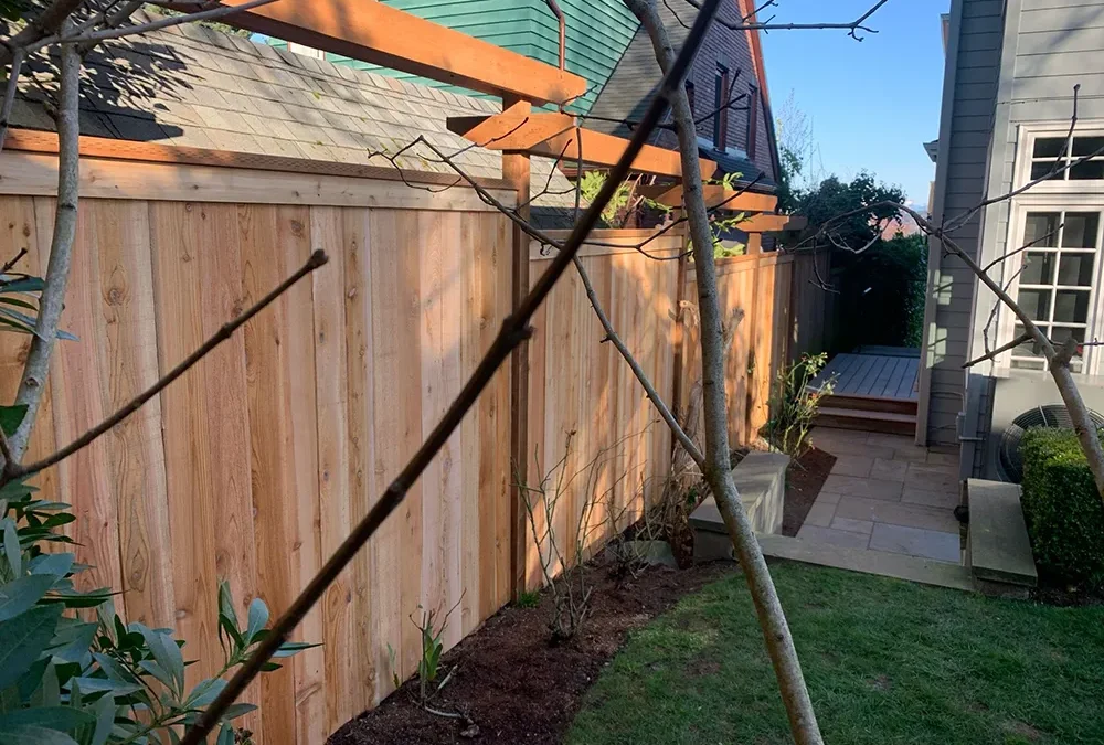 Premium Wood Build
