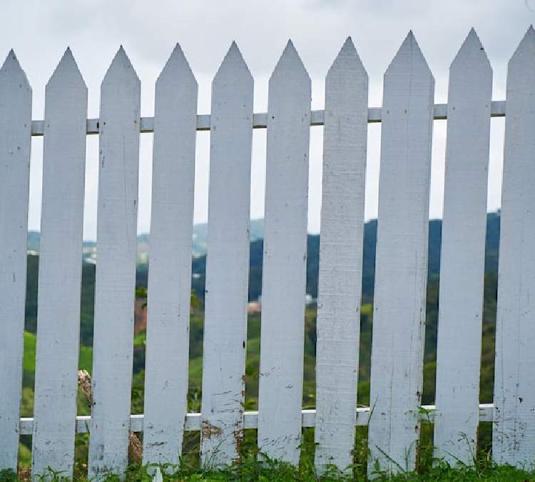 Horizontal Cedar Fencing