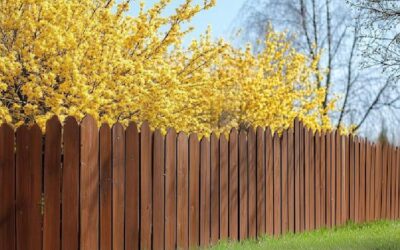Why Homeowners Are Choosing Horizontal Cedar Fencing for Privacy and Visual Appeal?