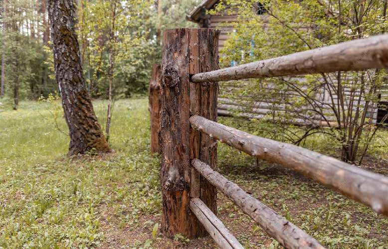 Deer Fencing